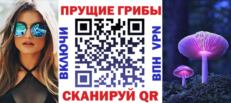 Псилоцибиновые грибы ЛСД  купить закладку  Новый Уренгой 